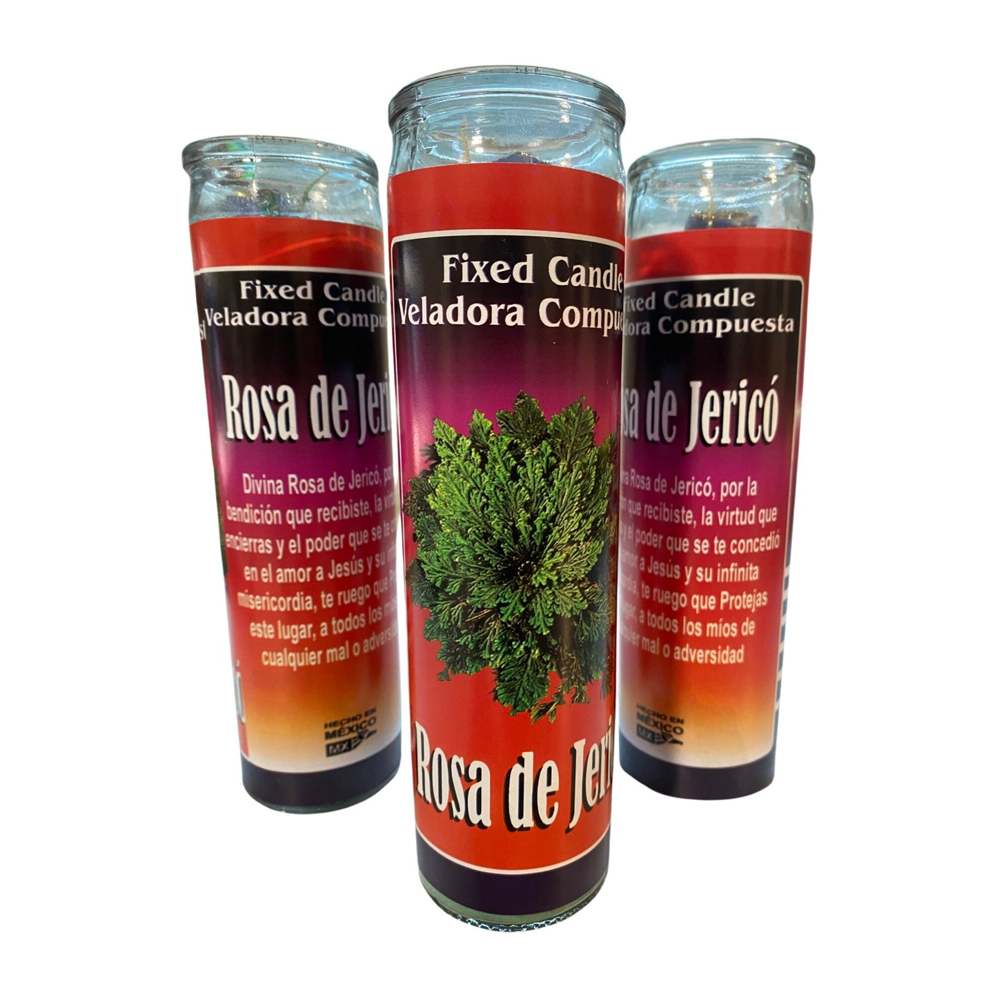 Rosa de Jerico Veladora Para Proteccion, Rose of Jericho Candle for Protection