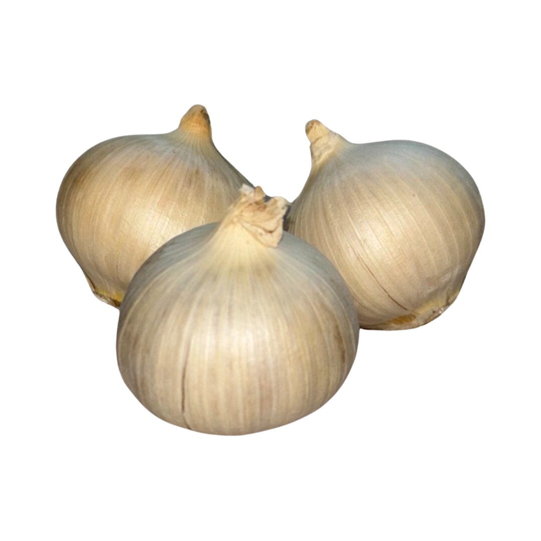 AJO MACHO 3 Pack Dinero Suerte y Proteccion - Male Garlic 3 Pack - Protection Luck